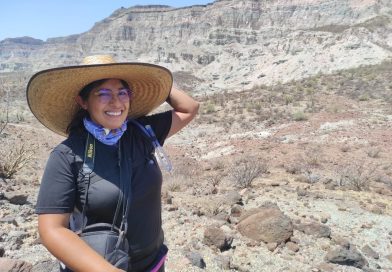 Investigación sobre ballenas fósiles de Baja California Sur obtiene el primer Premio INAH de Paleontología