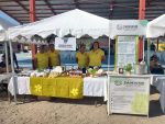 Mujeres rurales de Baja California Sur: protagonistas de la economía y el bienestar comunitario