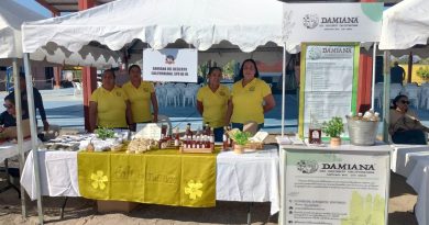 Mujeres rurales de Baja California Sur: protagonistas de la economía y el bienestar comunitario