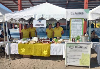 Mujeres rurales de Baja California Sur: protagonistas de la economía y el bienestar comunitario
