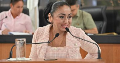 Aprueban el impulso de la estrategia “Ruta Rosa de Acompañamiento Integral”