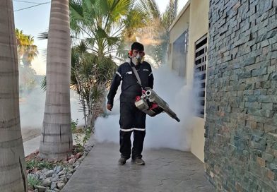Refuerza Salud estatal acciones contra el dengue en Ciudad Constitución