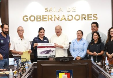 Atestigua Víctor Castro entrega de 112 distintivos para actividades de avistamiento y nado con tiburón ballena en La Paz