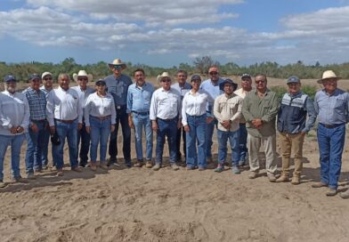 Supervisa SEPADA construcción de obras hidráulicas en Comondú