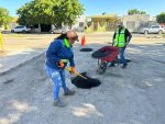 Intensifican labores de bacheo en Paraíso del Sol con más de 300 atenciones