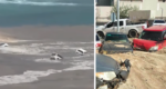 Lluvias vuelven a azotar Los Cabos; corrientes arrastran vehículos al mar