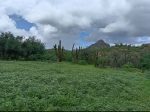 La sierra reverdece y renace la esperanza en las comunidades rurales de Loreto