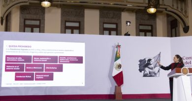 Decreto presidencial ofrece ​protección digital infantil
